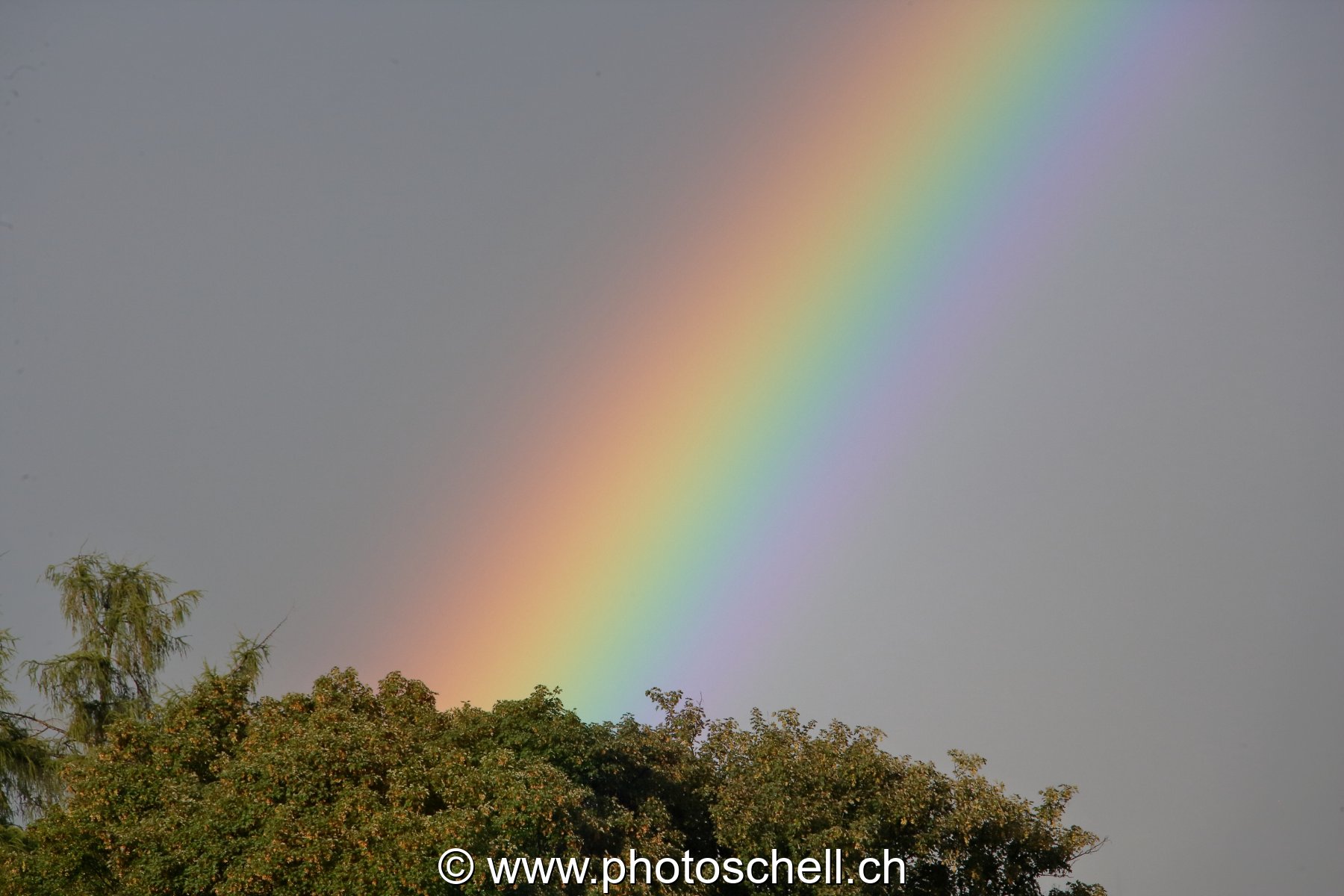 Arc en ciel