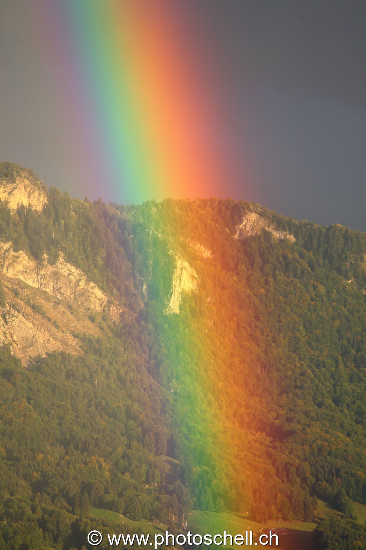 Arc en ciel