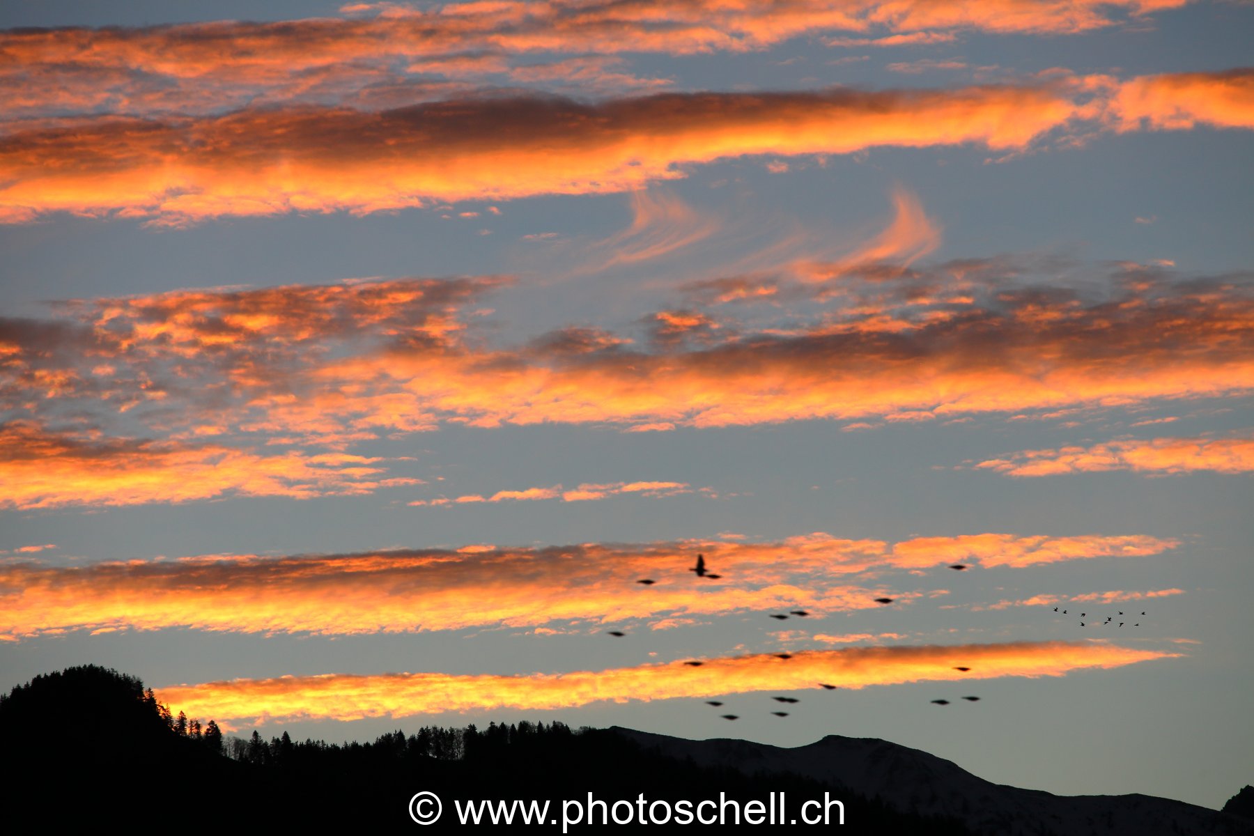 Nuages colorés avant le lever de soleil