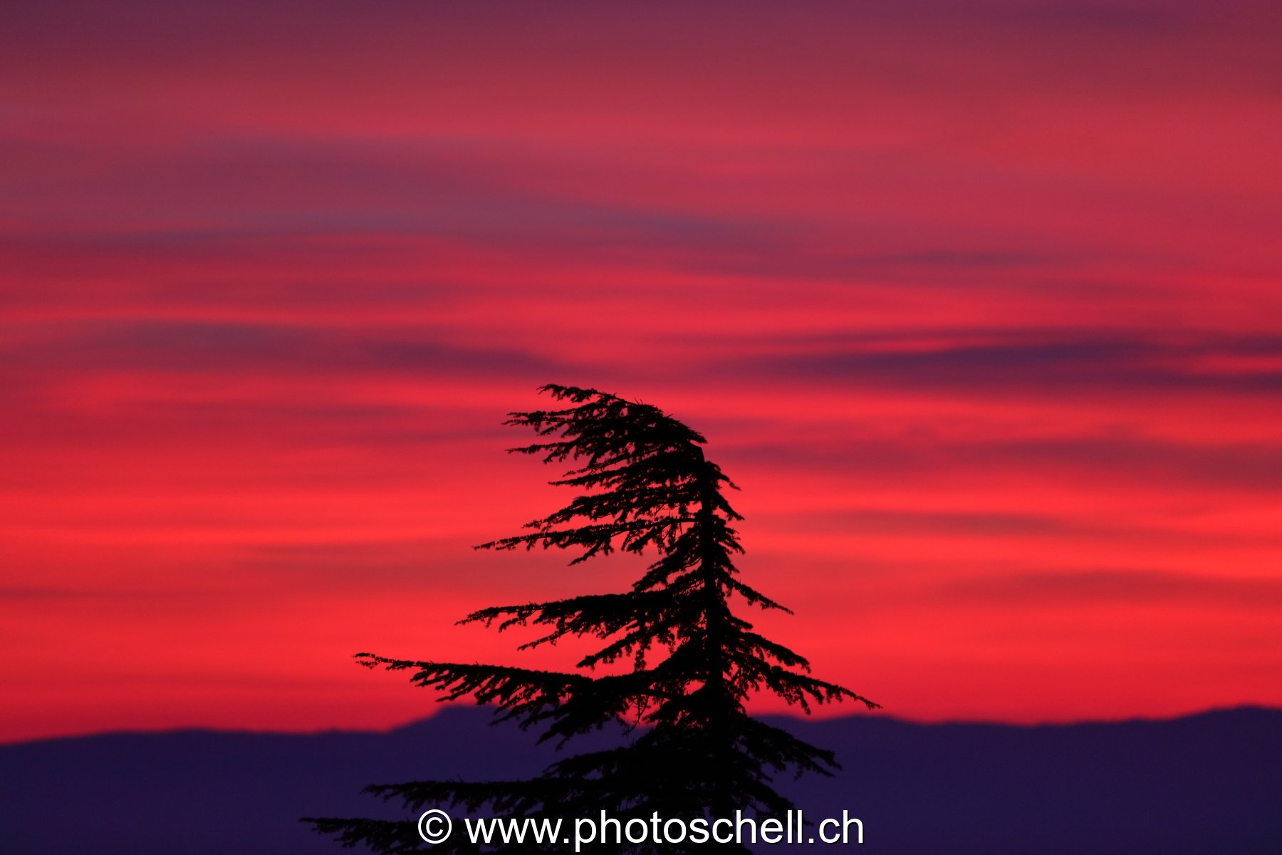 Dégradé de couleurs lors du lever de soleil