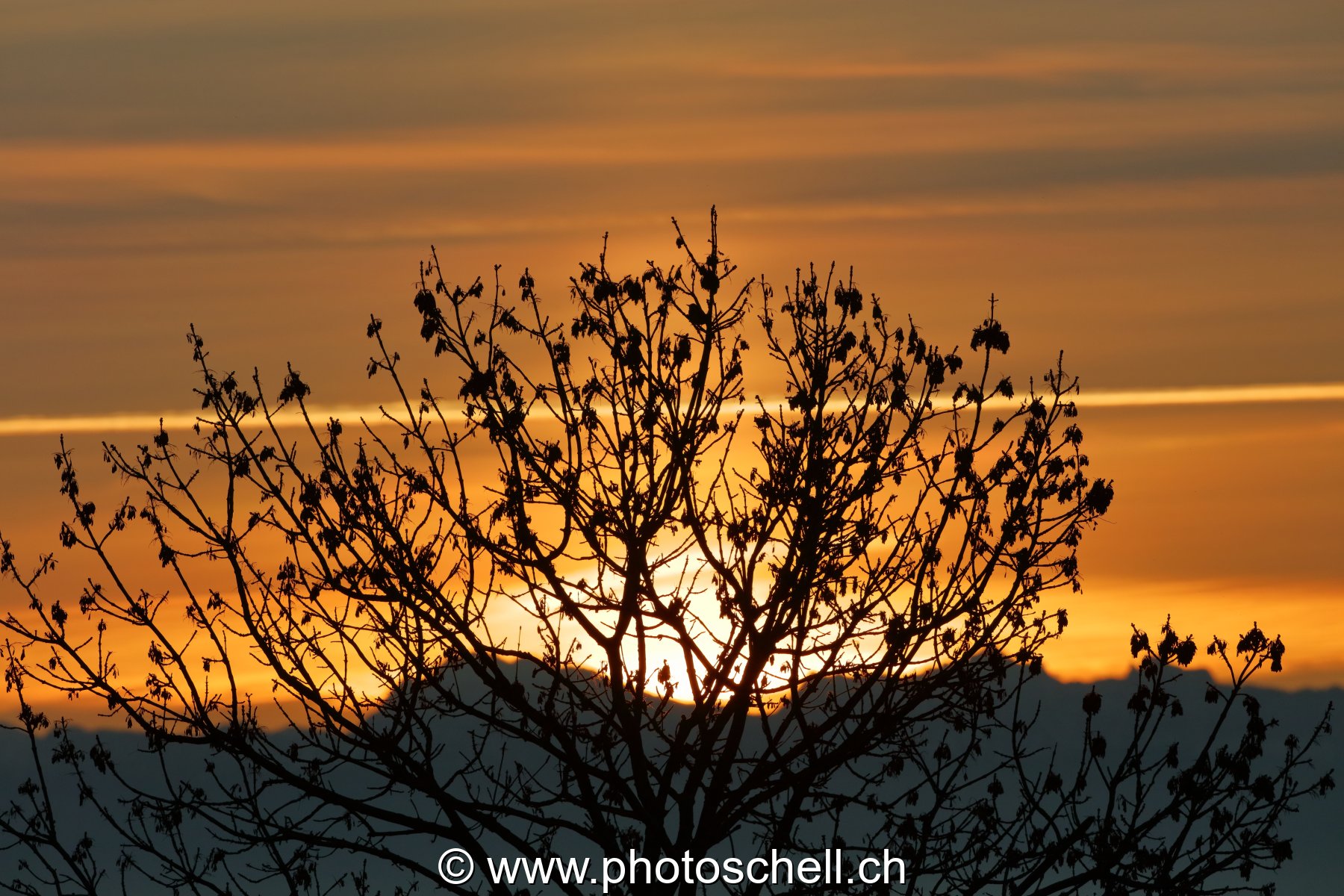 Ciel doré au lever de soleil