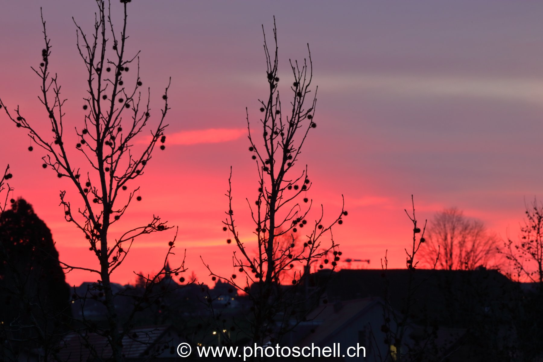 Ciel rose le matin