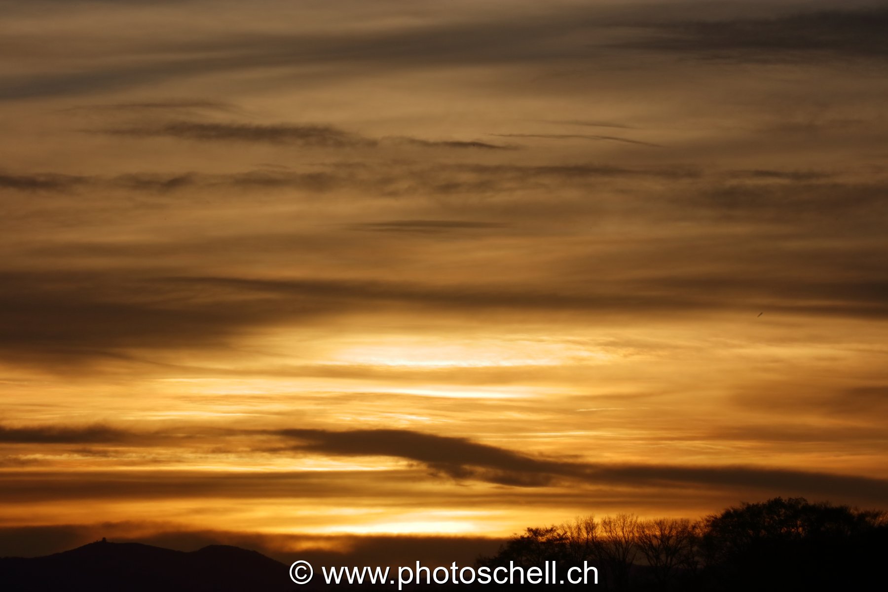 Ciel doré le matin