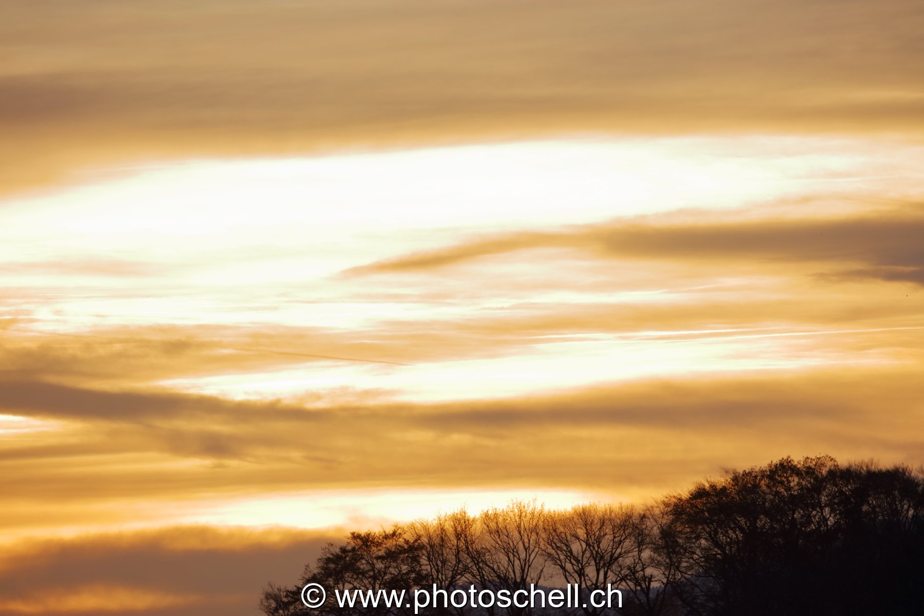 Ciel doré le matin