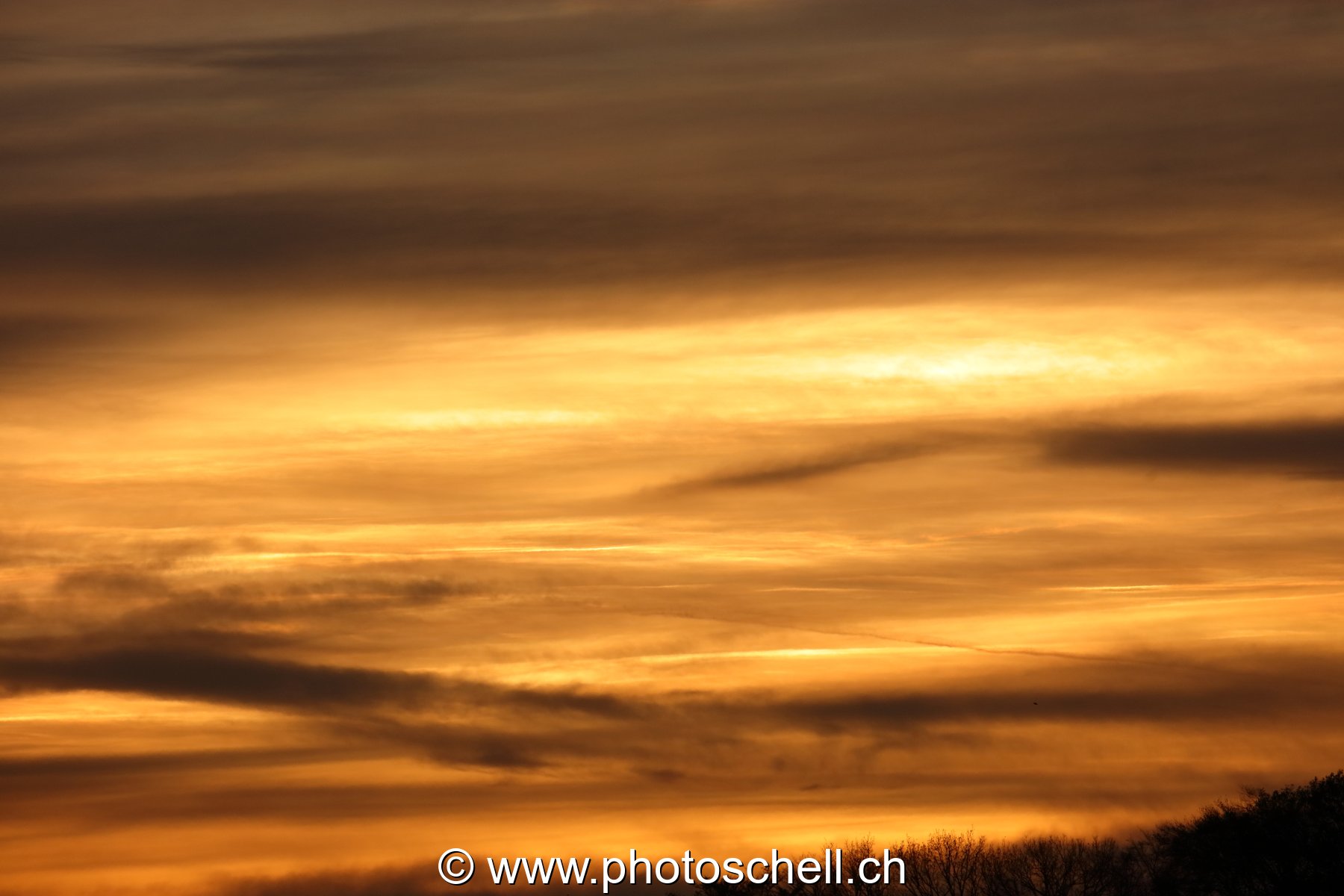 Ciel doré le matin