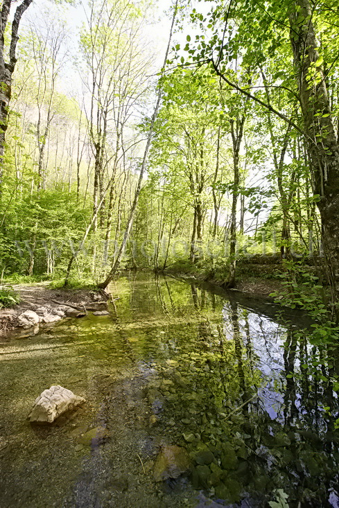 Le petit plan d\'eau près de la source