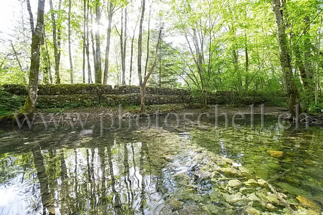 Reflets dans l\'eau claire de la source