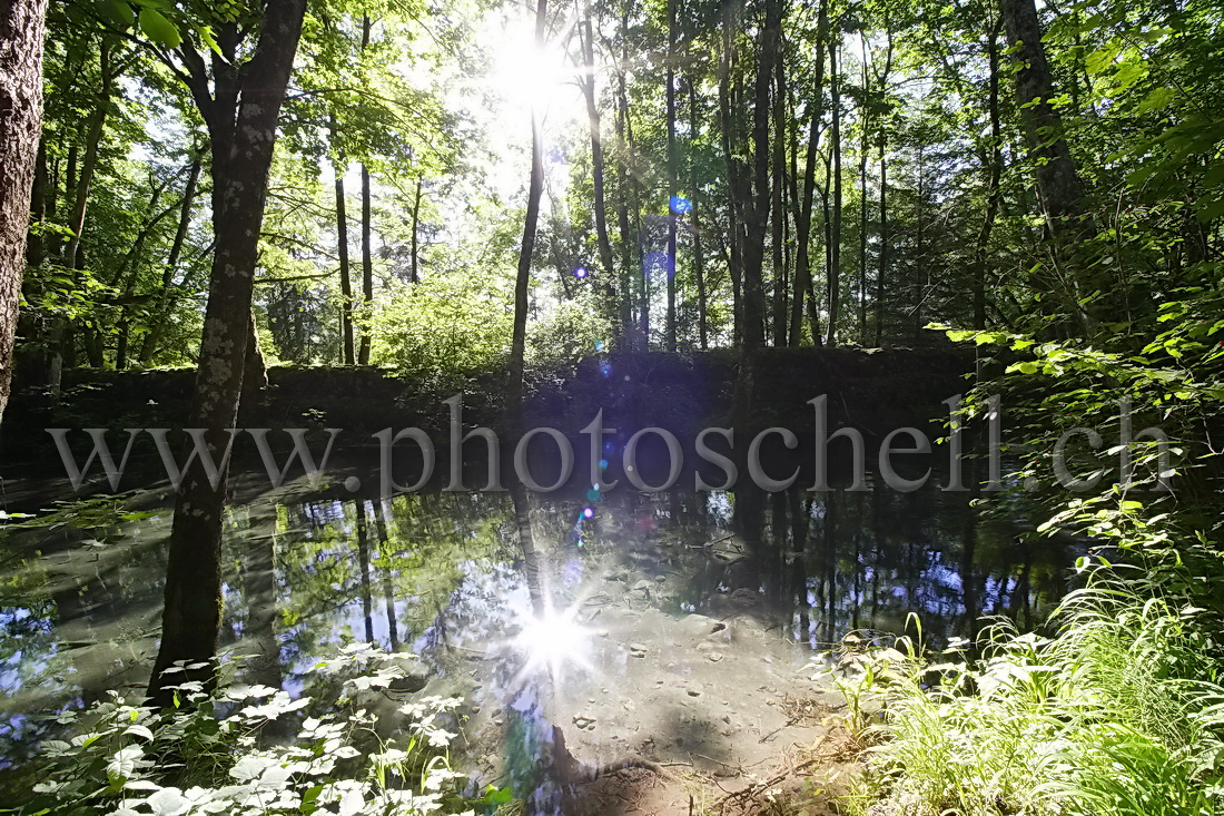 Les deux soleils (un dans le soleil et son reflet dans l\'eau)...