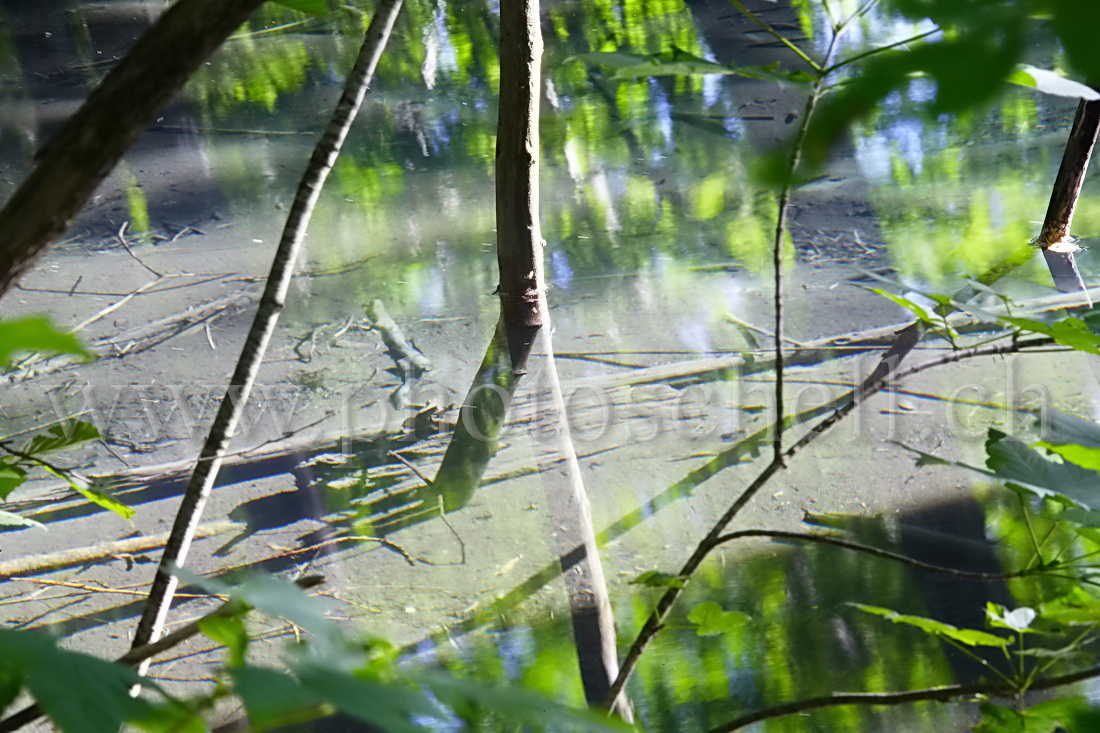 Reflet compliqué dans l\'eau !