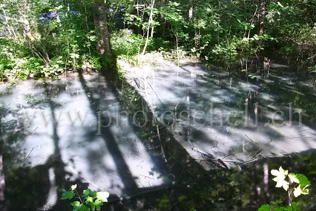 Reflets des arbres et du photographe dans l'eau