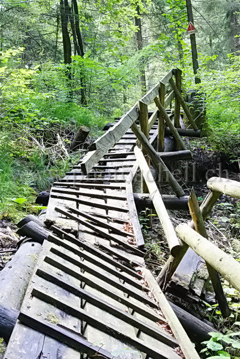 Passerelle effondrée (regardez le panneau au fond)