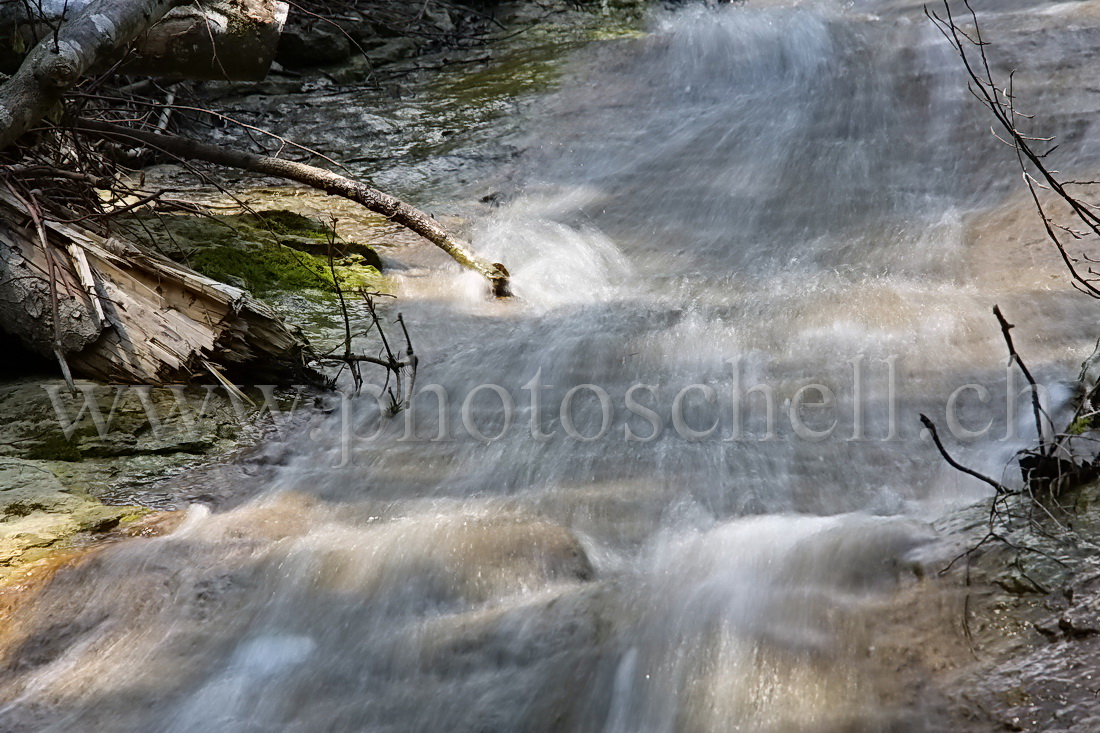 Projection d'eau contre une branche