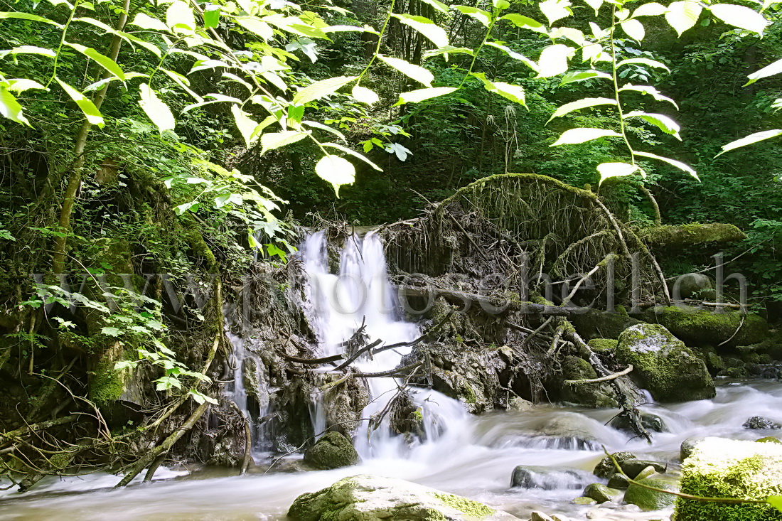 Cascade dans la lumière