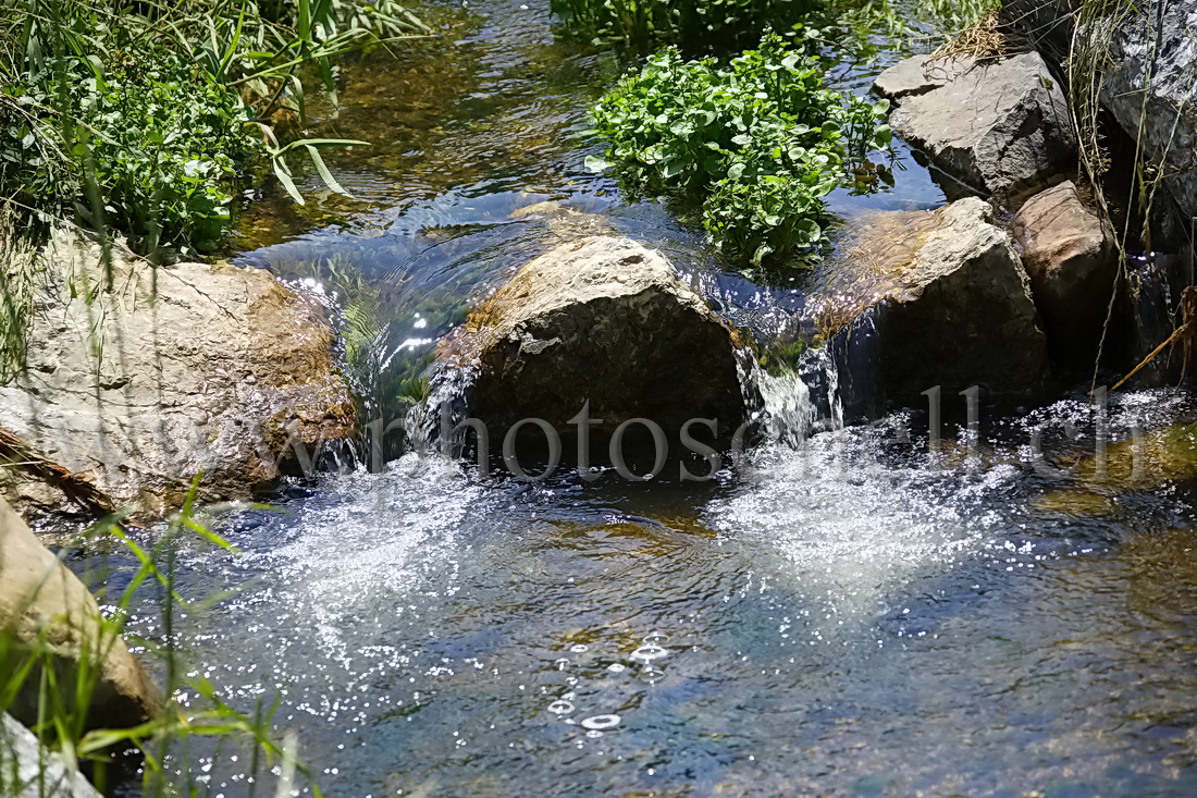 Séparation de l'eau