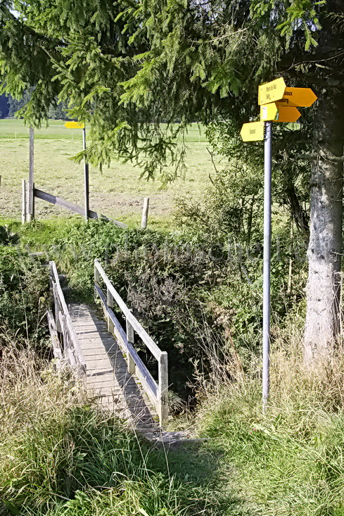 Pont sur les monts de Marsens