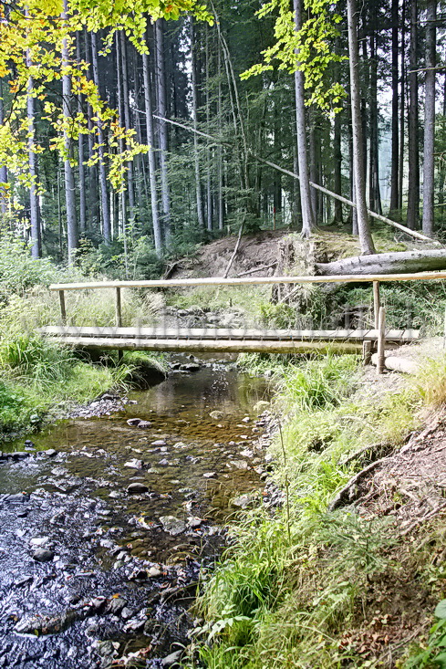 Pont sur les monts de Marsens