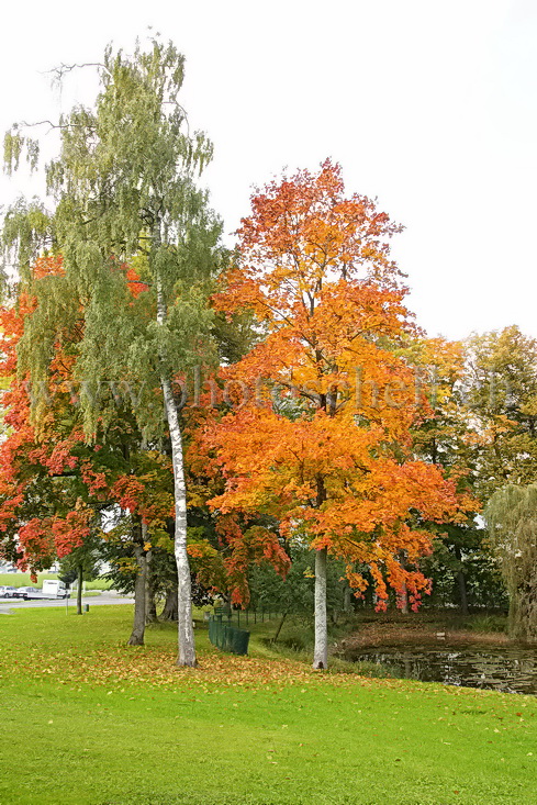 Couleurs d\'automne