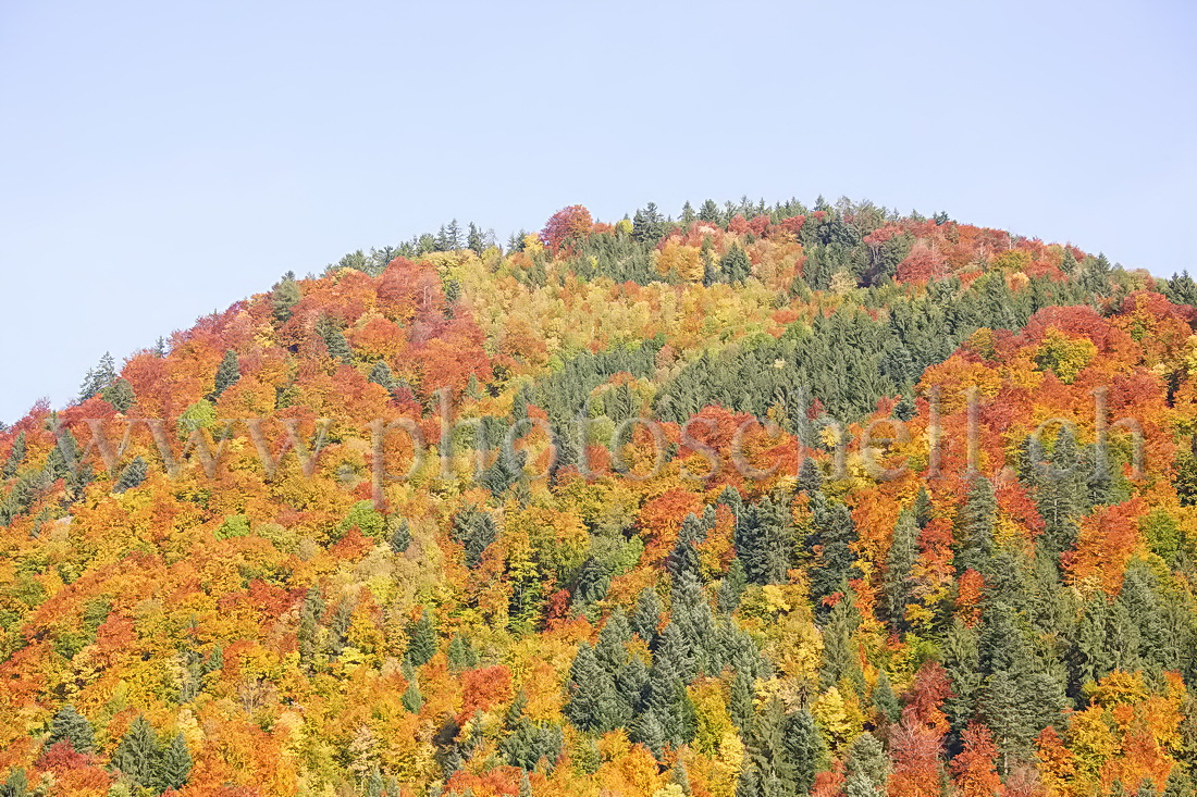 Couleurs d'automne