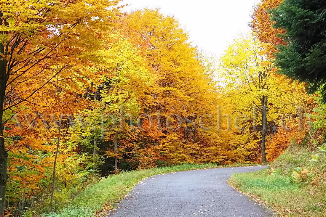 Couleurs d'automne