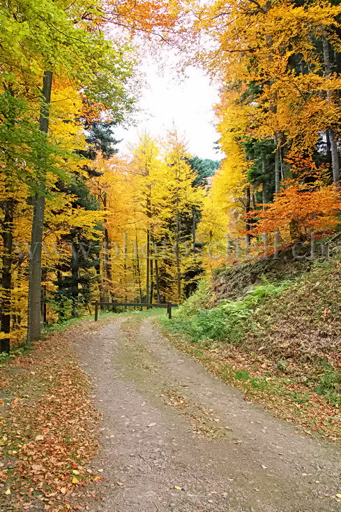 Couleurs d'automne