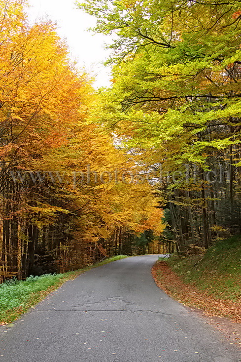 Couleurs d\'automne