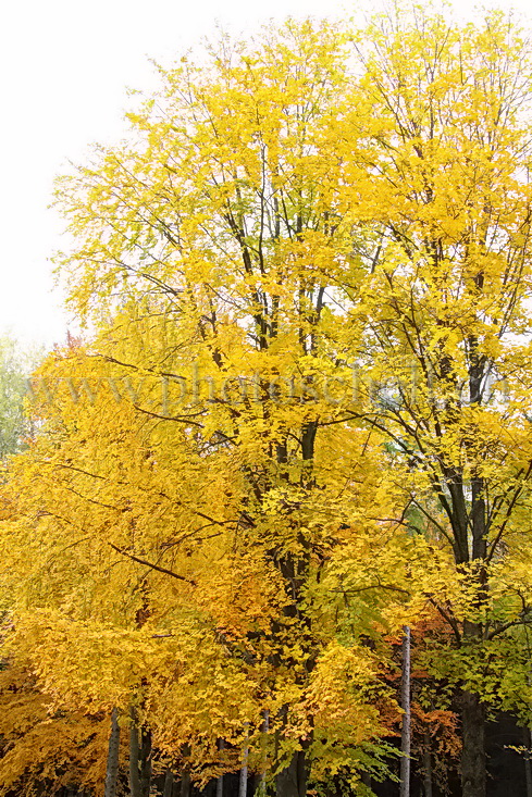 Couleurs d\'automne