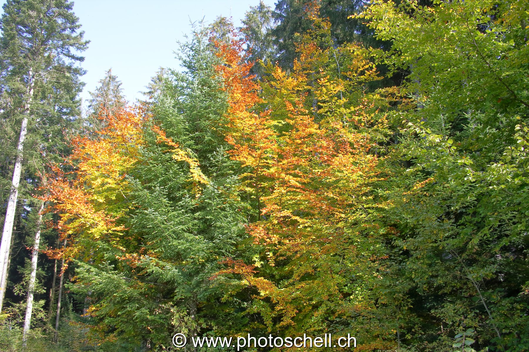 Photo 23