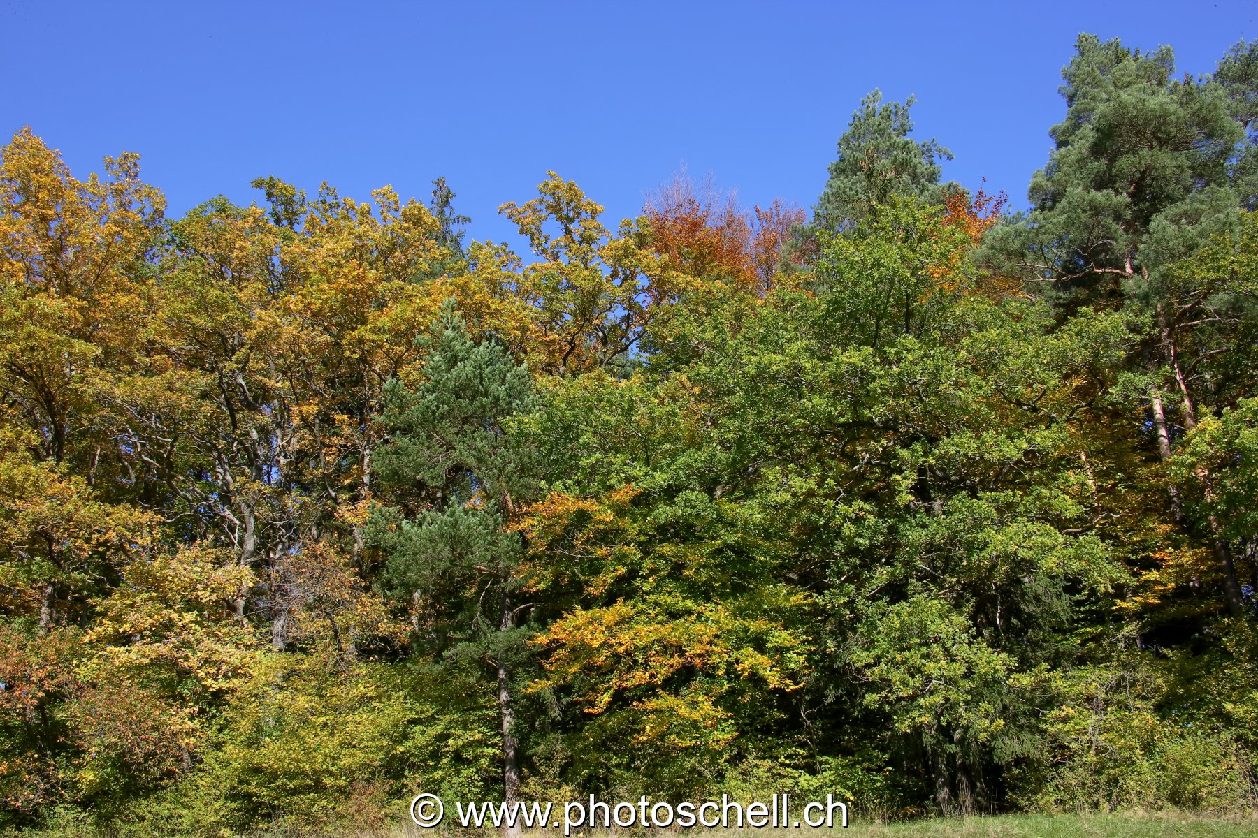 Couleurs d'automne