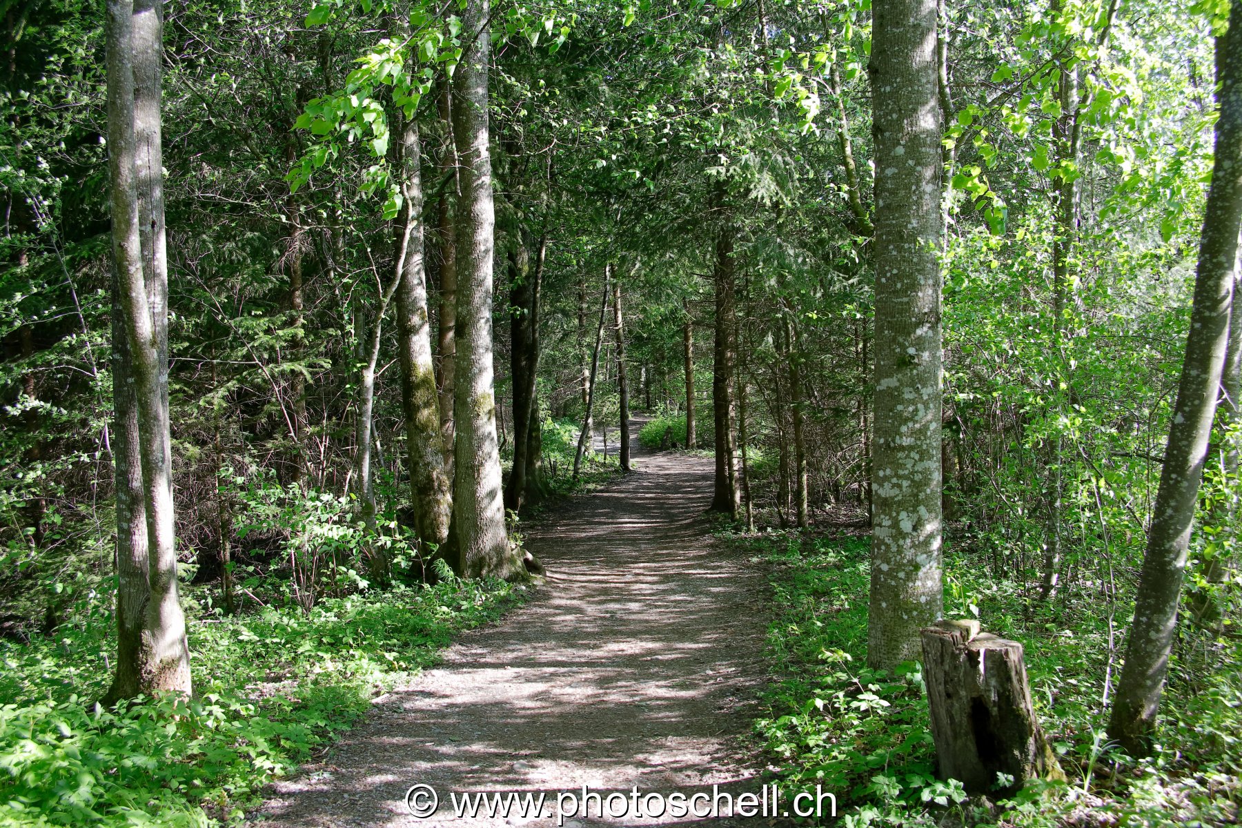 Photo 47