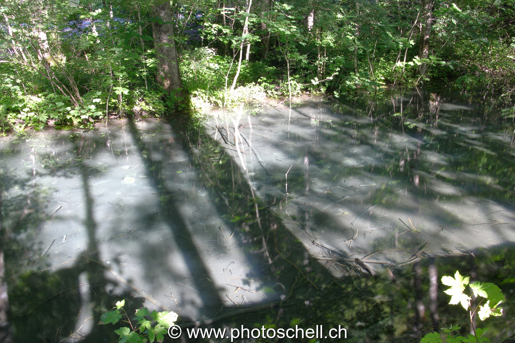 Photo 57