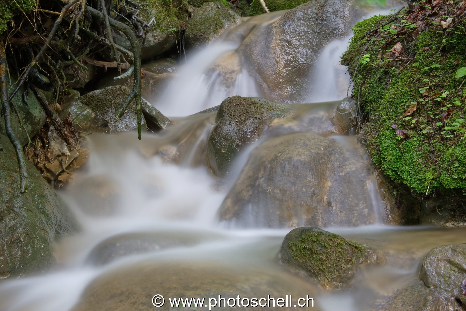 Filets d'eau
