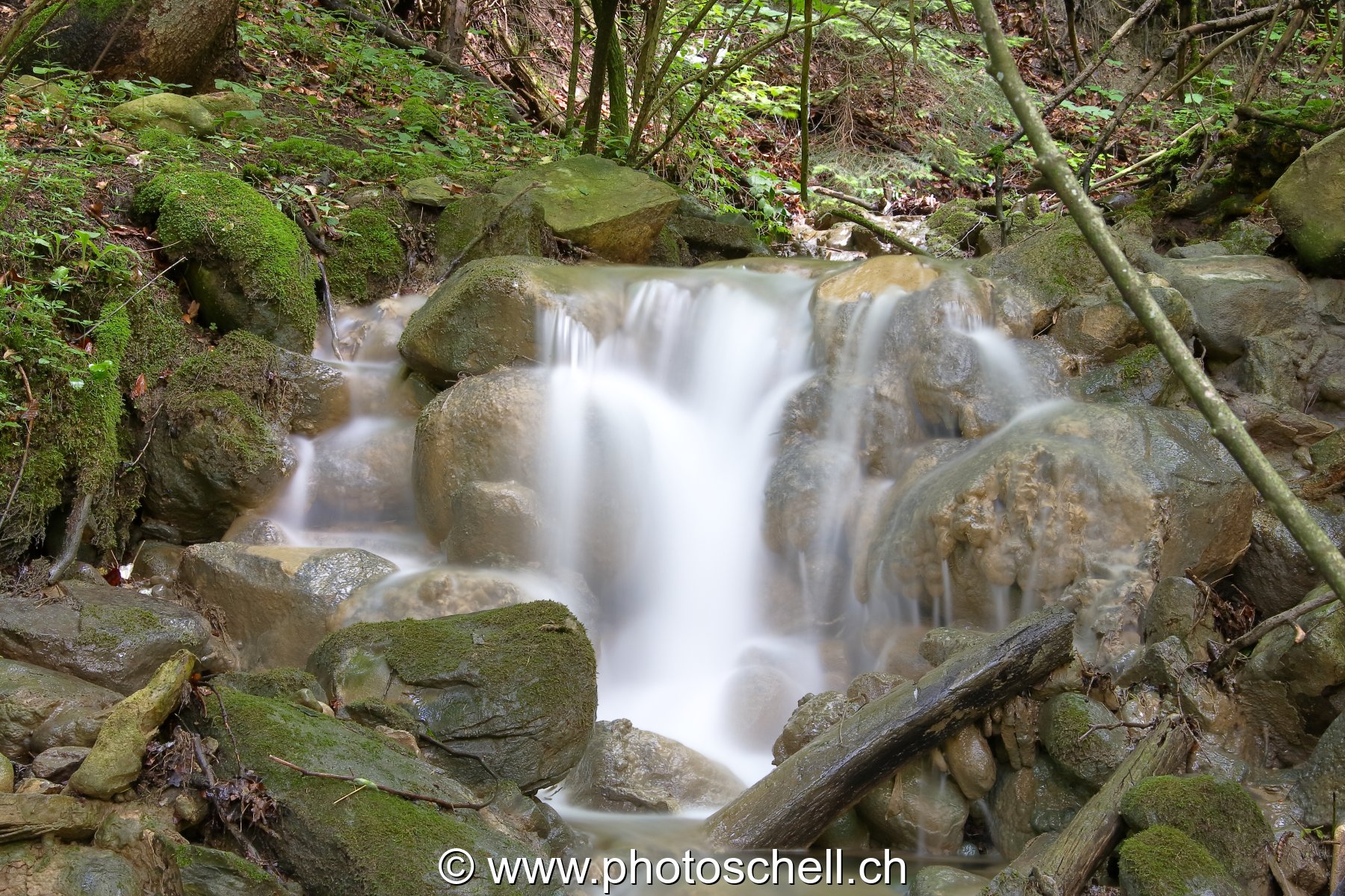 Filets d'eau