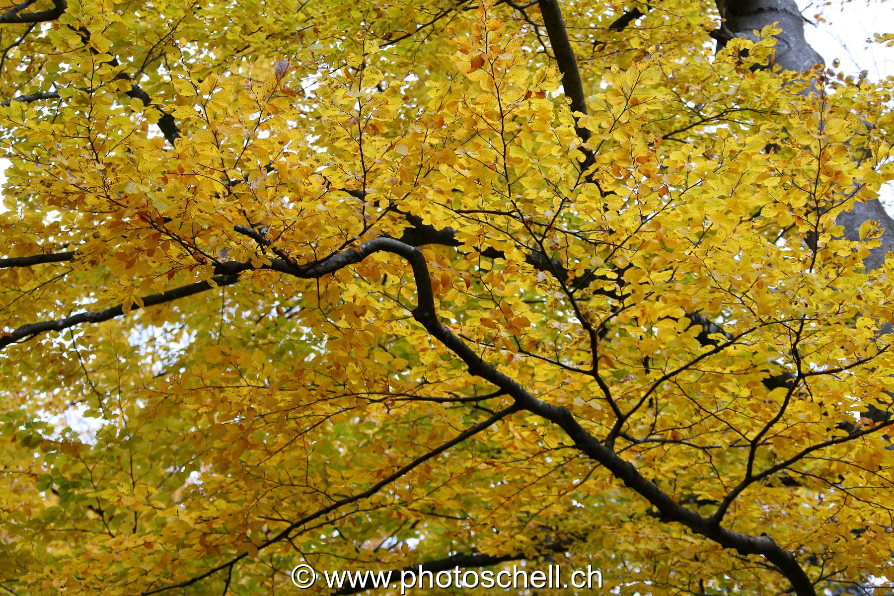 Photo 201