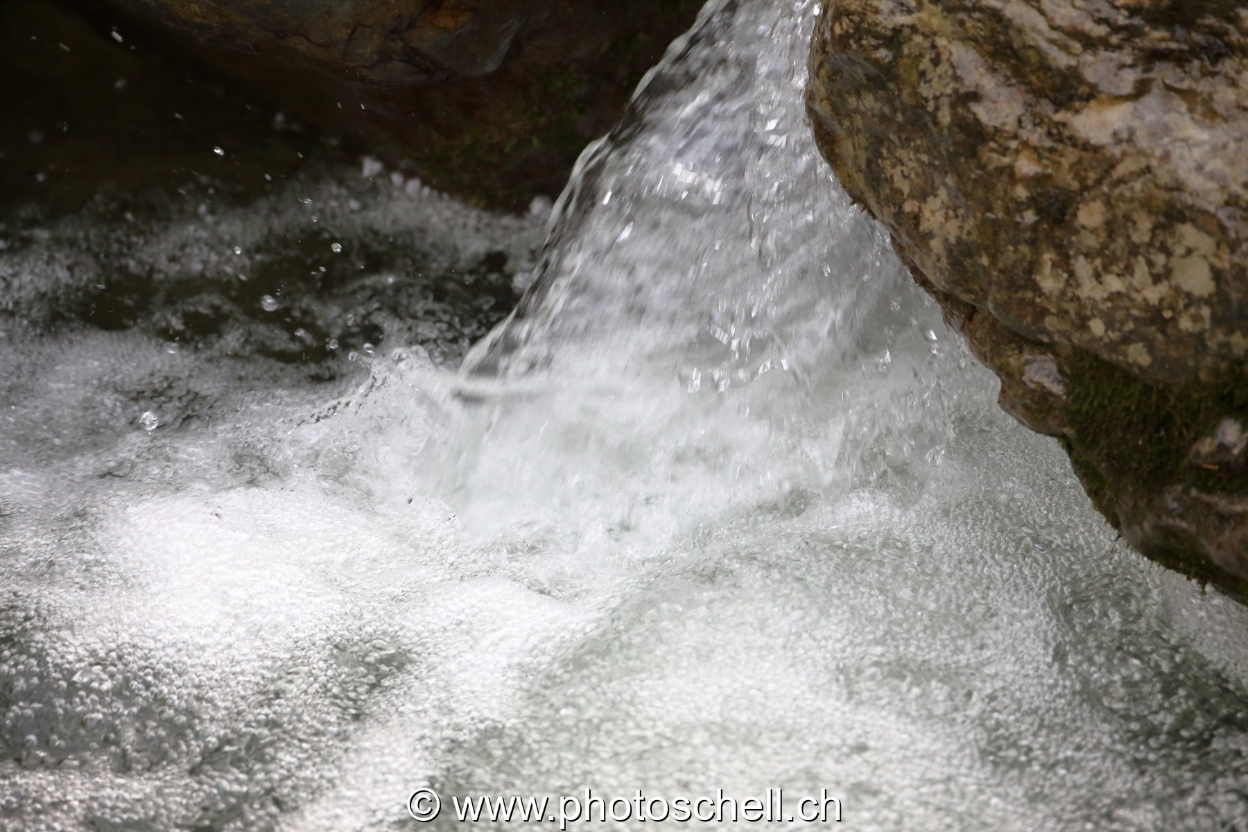 Photo 271