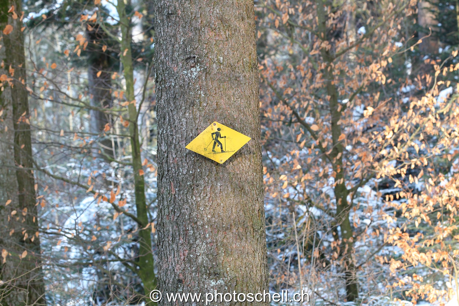 Chemin pédestre
