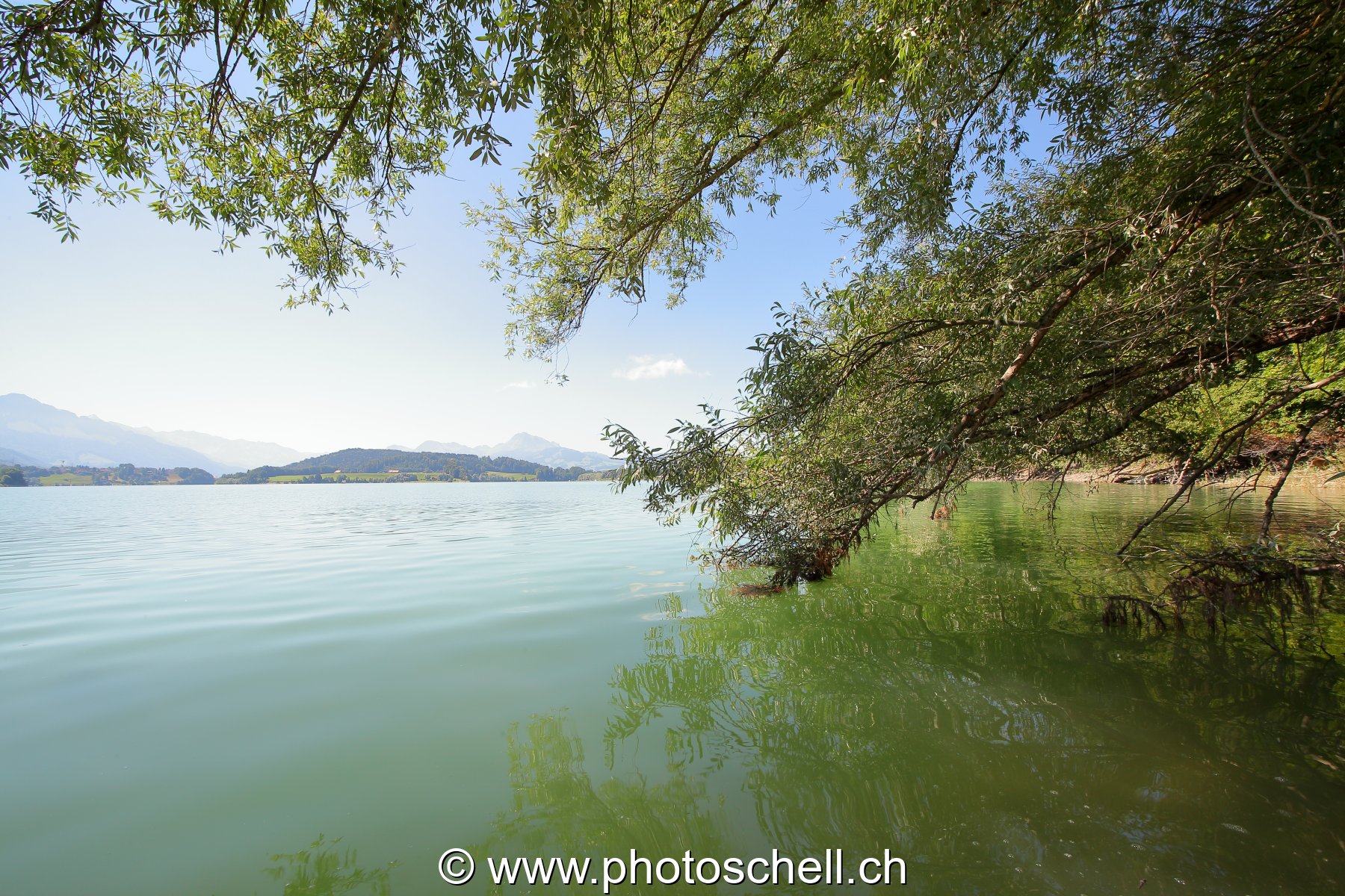 Lac de la Gruyère depuis l'ile aux oiseaux