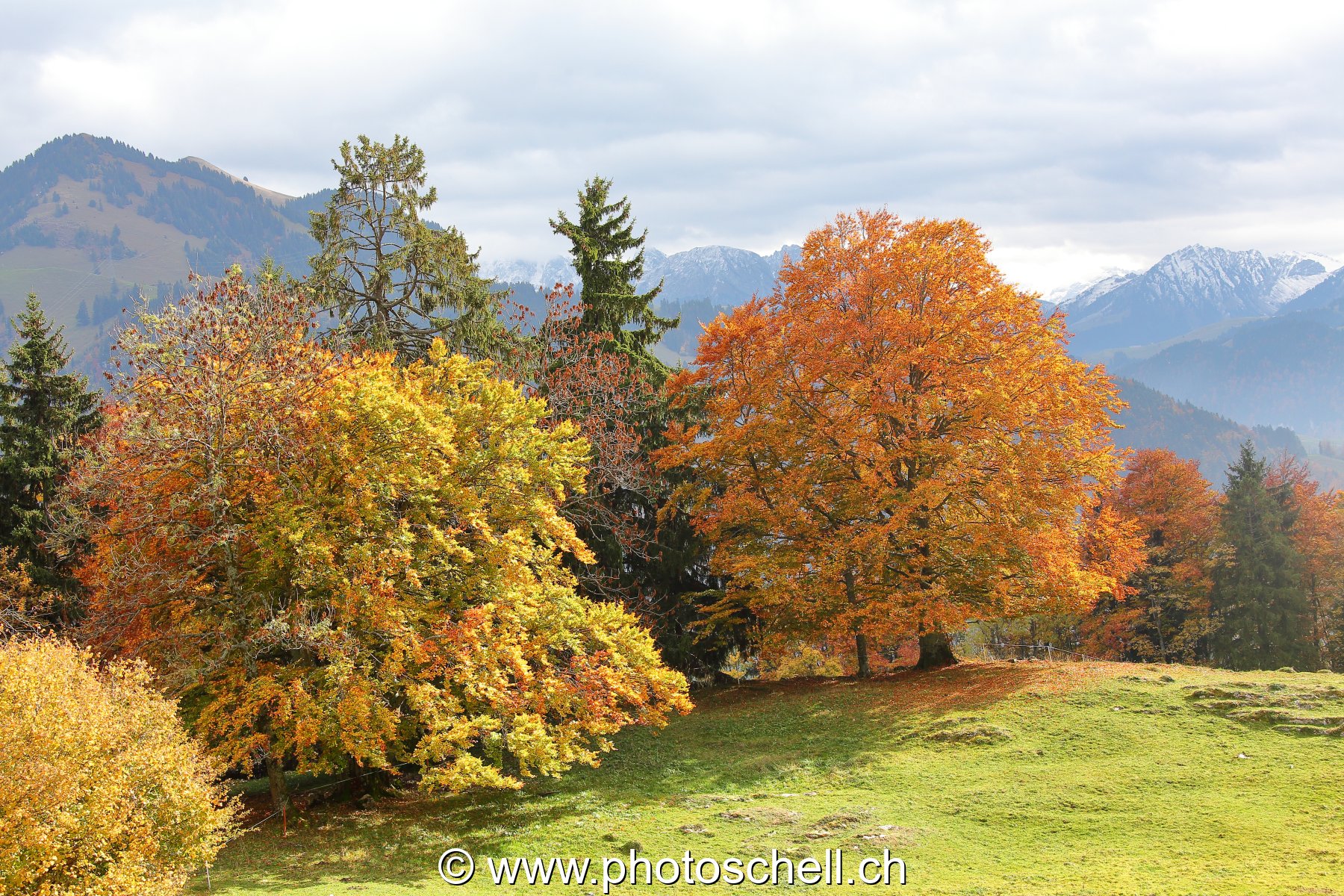 Couleurs d'automne