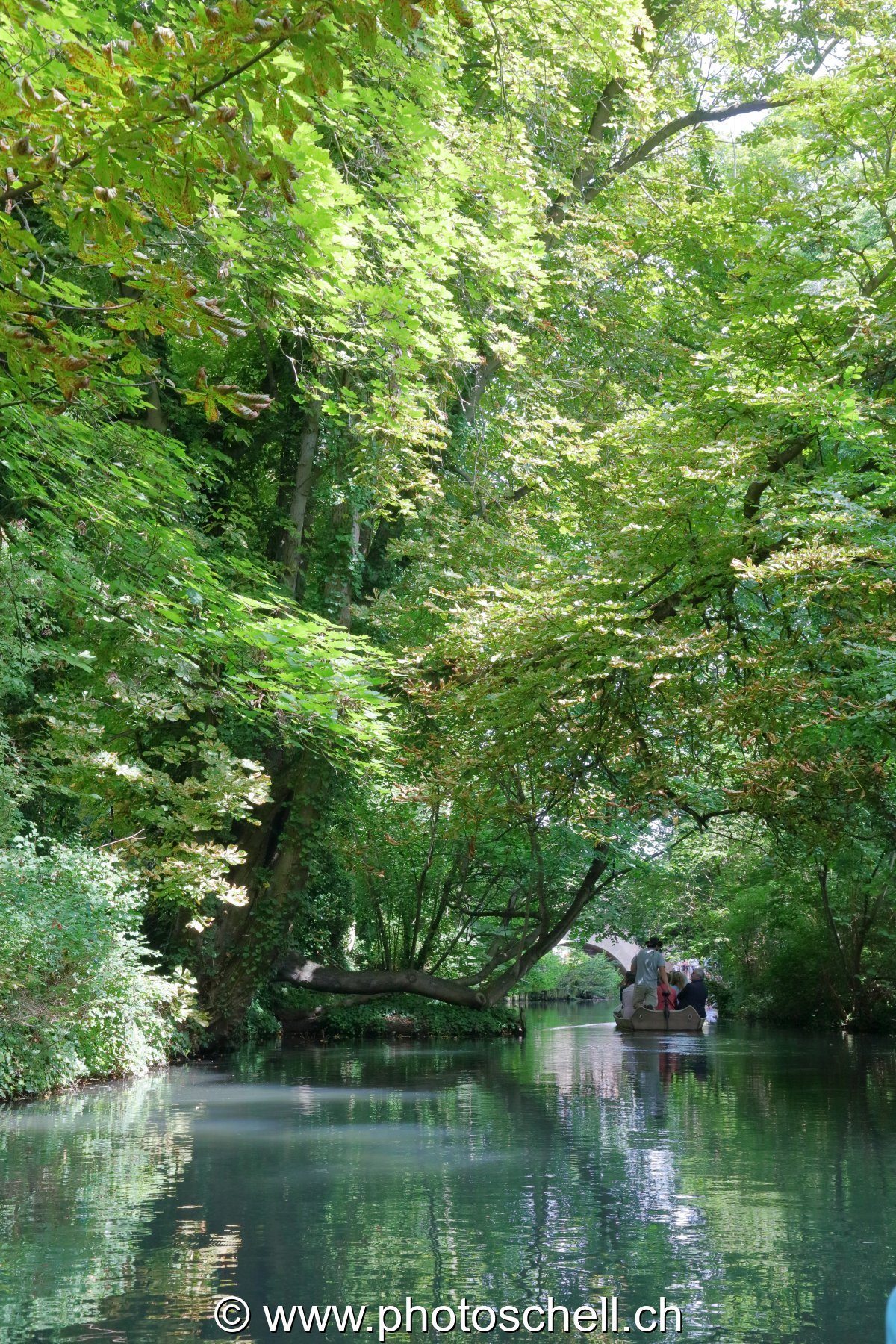 Promenade en barque