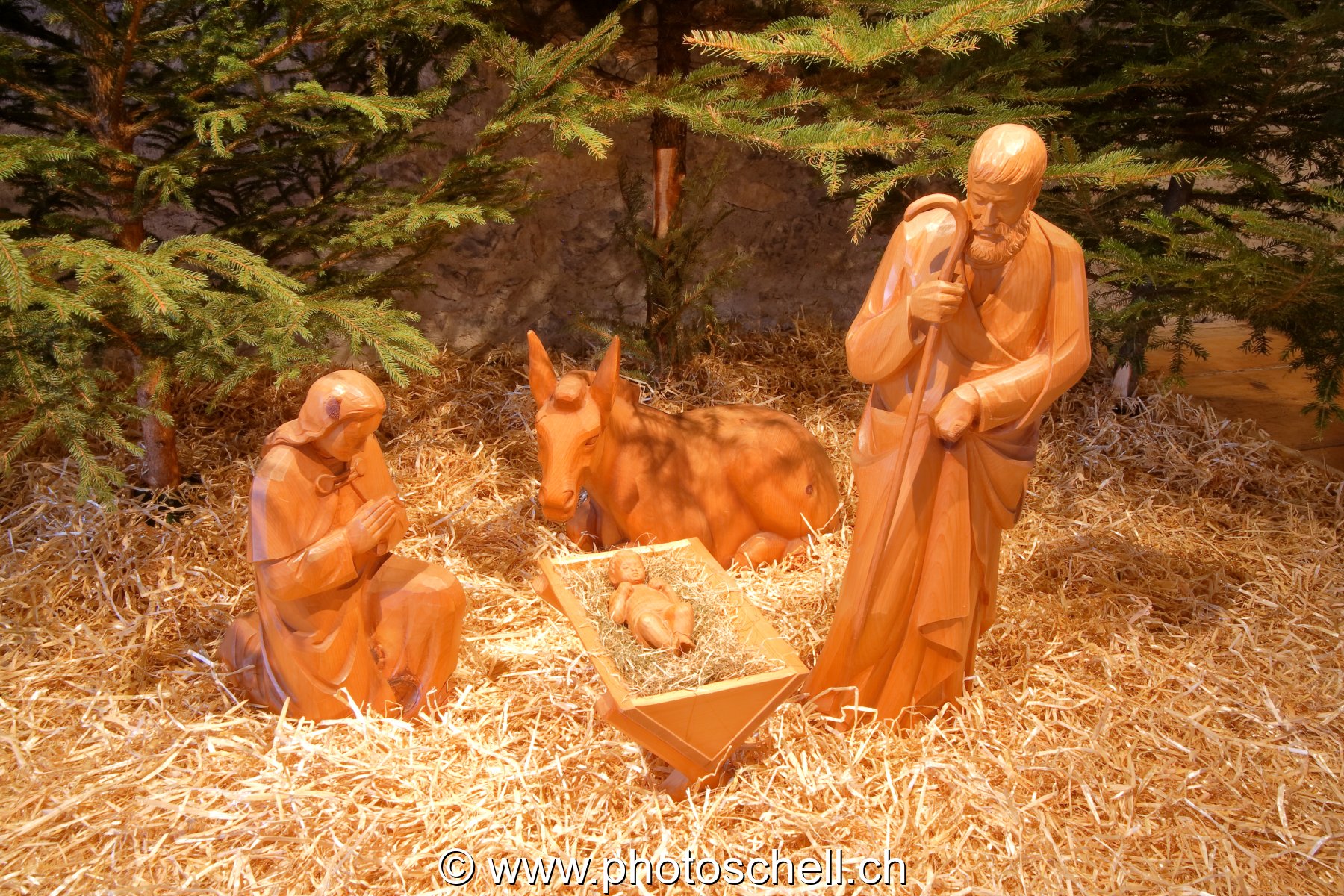 Photo 13