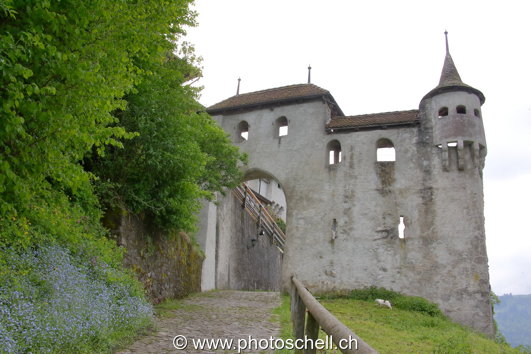 Photo 26