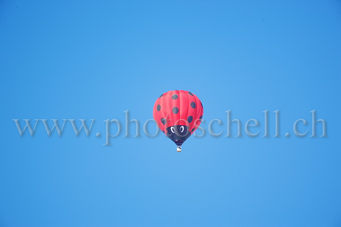 Ballon dans le ciel - coccinelle