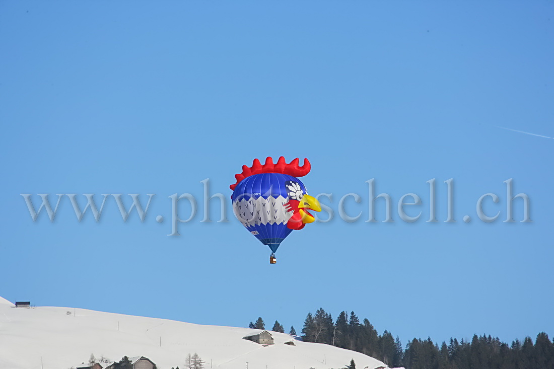 Ballon dans le ciel - coq