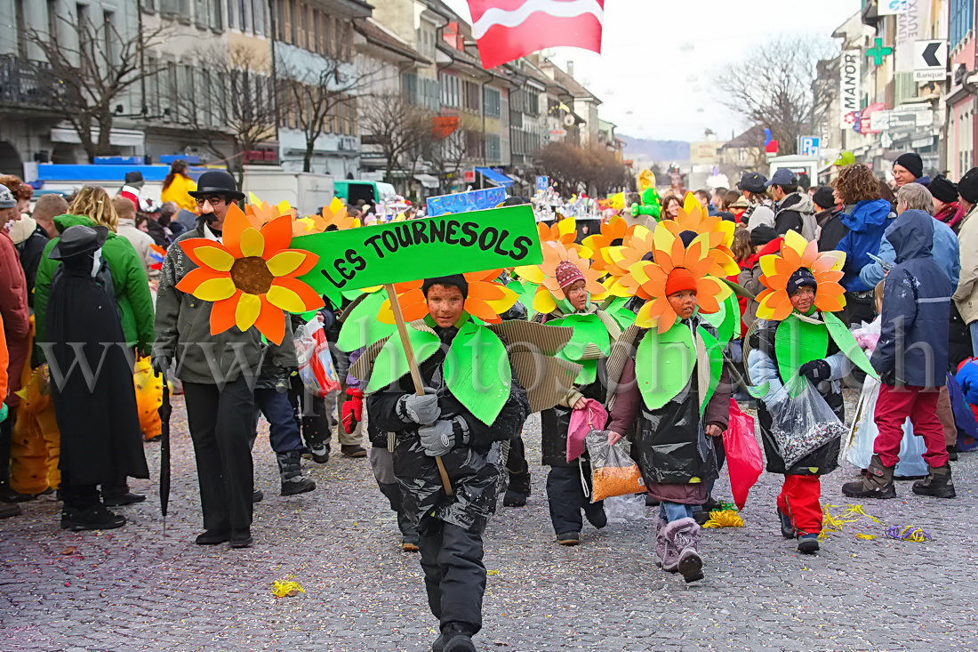 Les tournesols du printemps