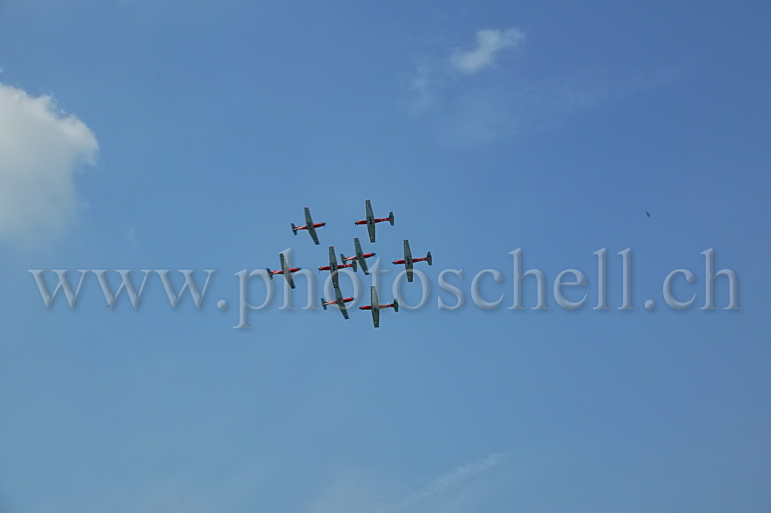 Patrouille PC9 - croisé