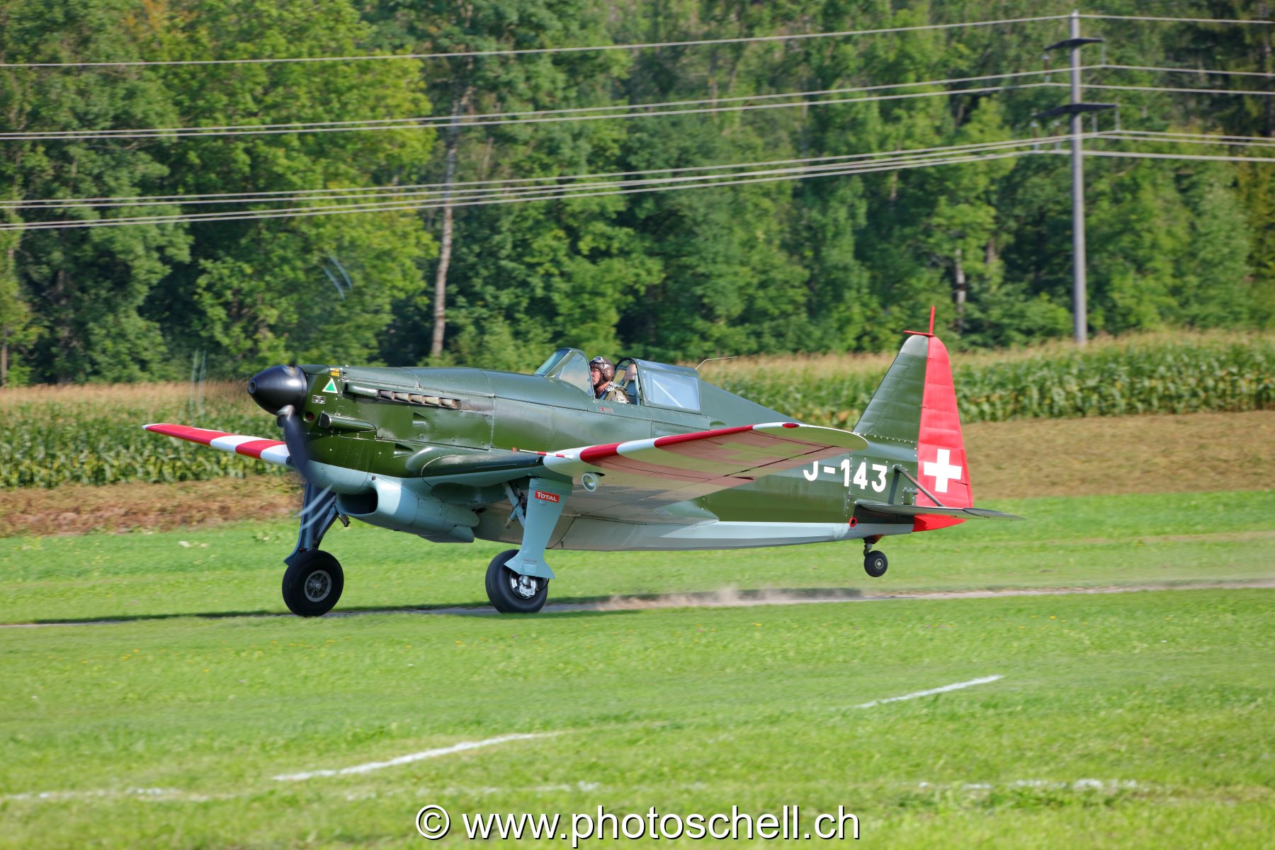 Warbird