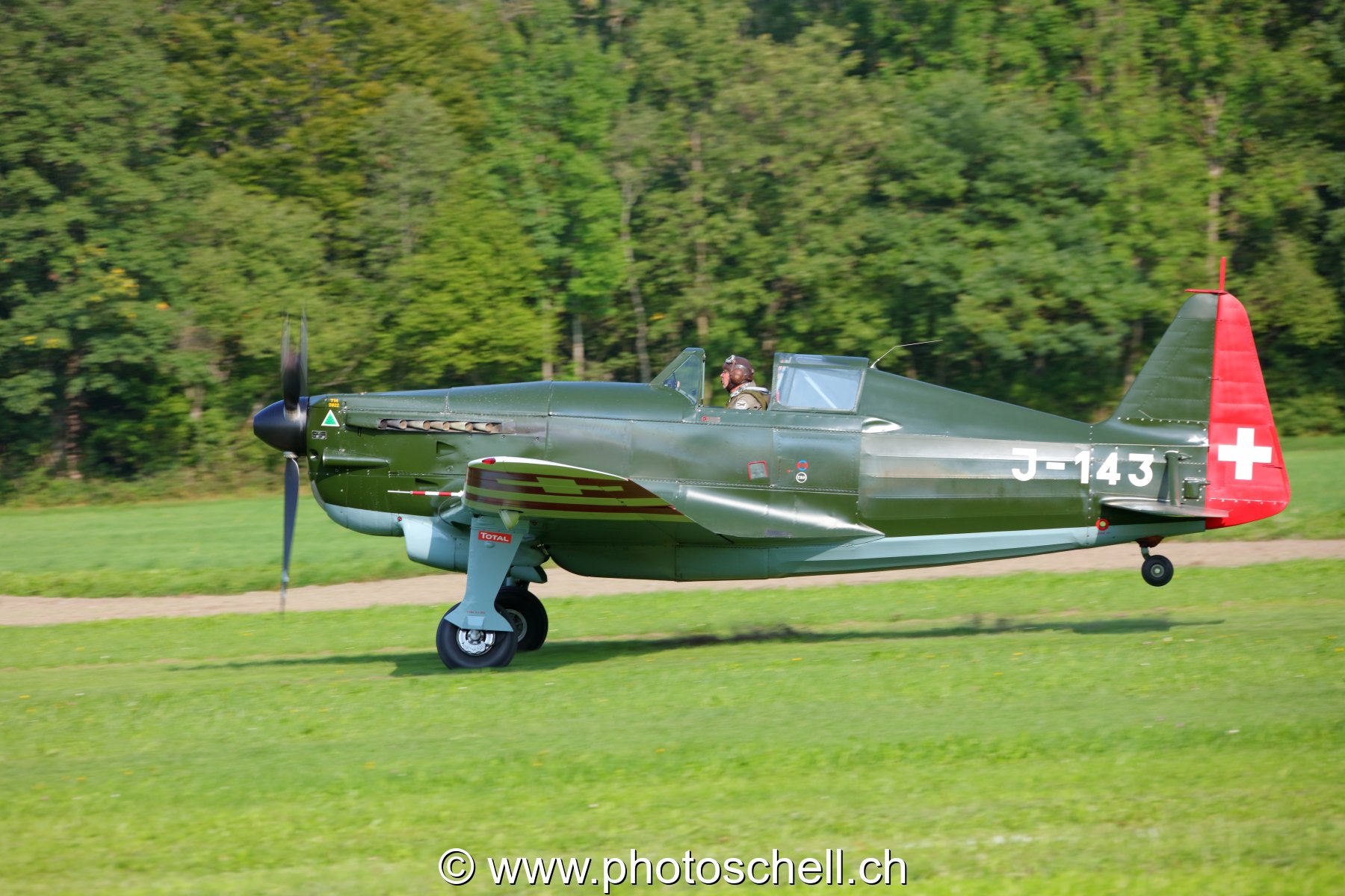 Warbird