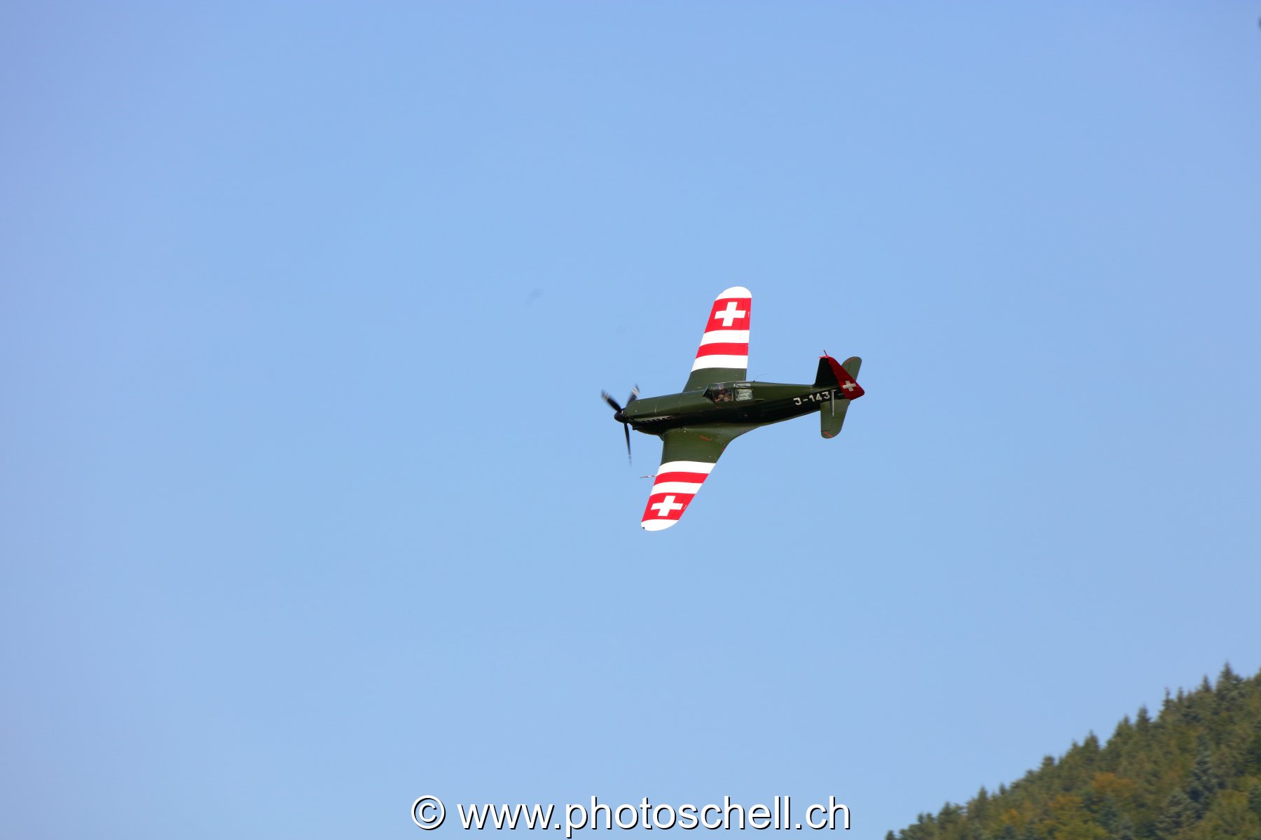 Warbird