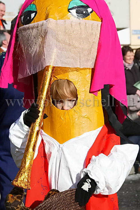 Carnaval de Broc 2008