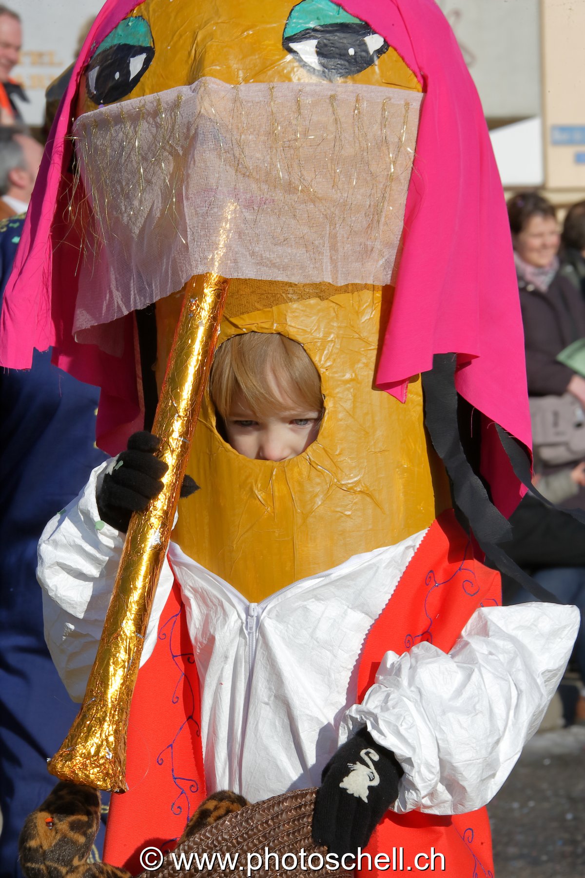 Carnaval de Broc 2008