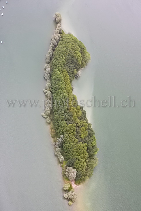 L'île aux oiseaux sur le Lac de la Gruyère